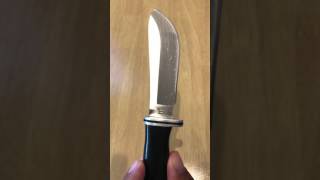 Buck 103 Skinner Hunting knife
