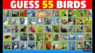 GUESS 55 BIRDS 🐦 | Fun Bird Quiz Challenge | Only Bird Experts Can Score 100%!