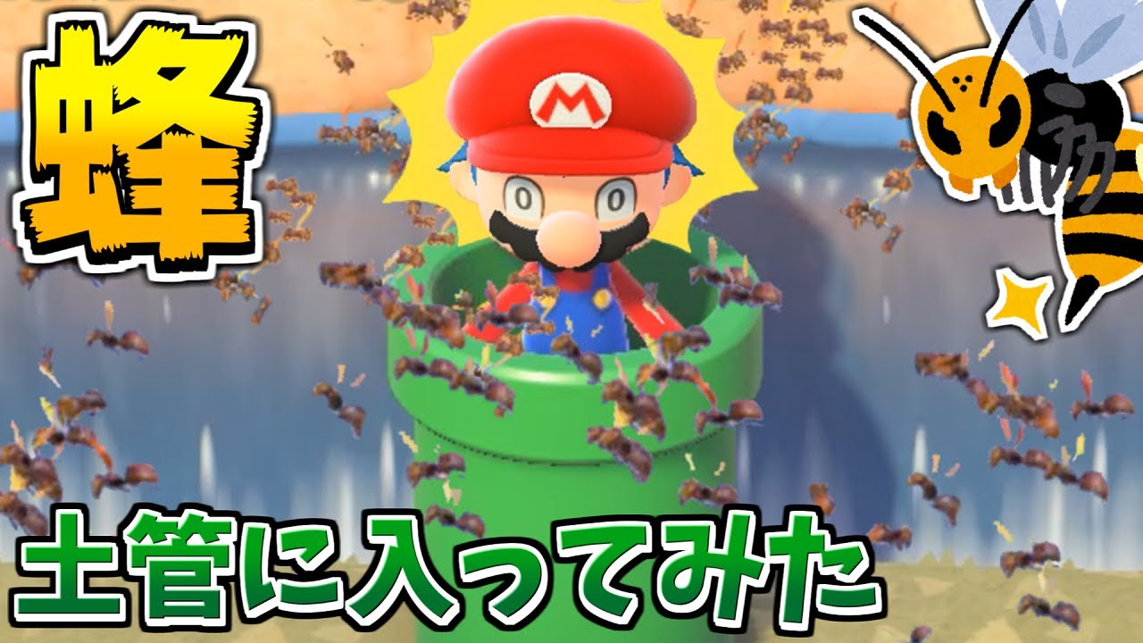 ハチに追いかけられてる時にマリオの土管の中に入ったら助かる説