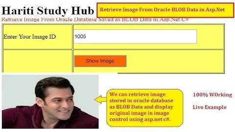 Retrieve Image Stored in Oracle Database as BLOB Data Asp.Net C# | Hindi | Free Online Learning Code