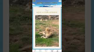 The EDWINs had a memorable experience at the stunning Aquila Game Reserve, South Africa. screenshot 5