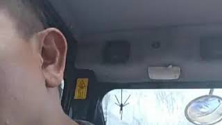 Download Lagu Burung Di Sangkar. Amir uka's MP3