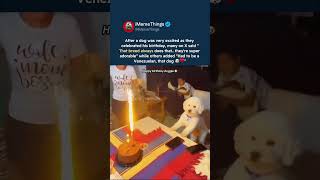 excited dog goes viral during birthday celebration and the internet is obsessed #dogs
