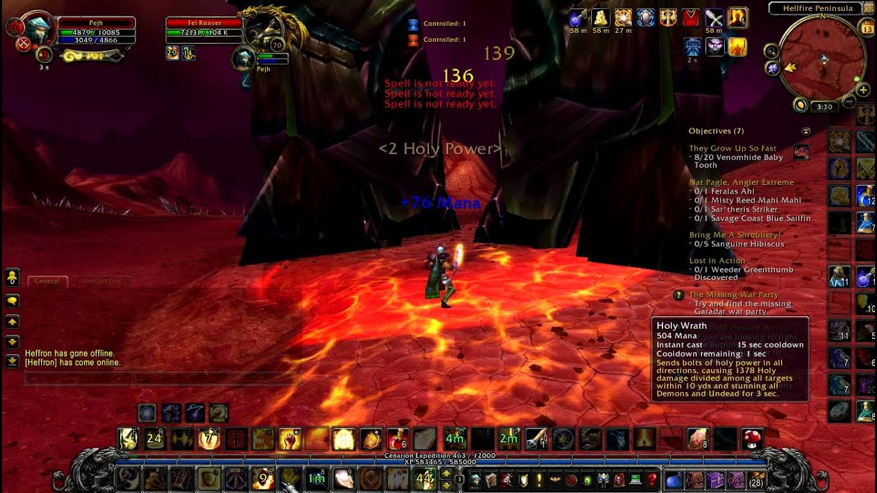 67 prot pala soloing a 70 elite Fel Reaver