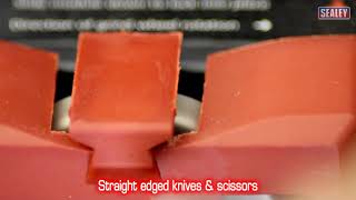 Sealey SMS2004 Multi Purpose Sharpener