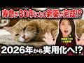 猫が30年生きる時代！？話題の腎臓病AIM新薬を現役獣医師が解説