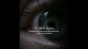 أجمل حالات واتس اب القرأن الكريم بصوت رعد الكردي تلاوة خاشعة 🥺 من سورة محمد