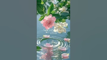 #قران_كريم #راحة_نفسية #اكسبلور #سوره يوسف #ارح_قلبك #اسلام_صبحي #لايك #حالات_واتس #اكتب_شي_تؤجر_علي