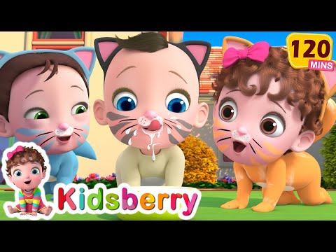 My Kitty Boo | The Cat Song + More Kidsberry Nursery Rhymes & Baby Songs