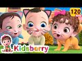 My kitty boo  the cat song  more kidsberry nursery rhymes  baby songs