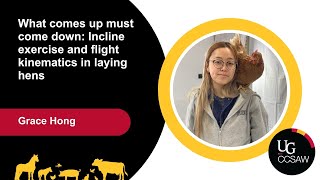 What comes up must come down: Incline exercise and flight kinematics in laying hens