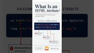 What is an HTML Attribute?