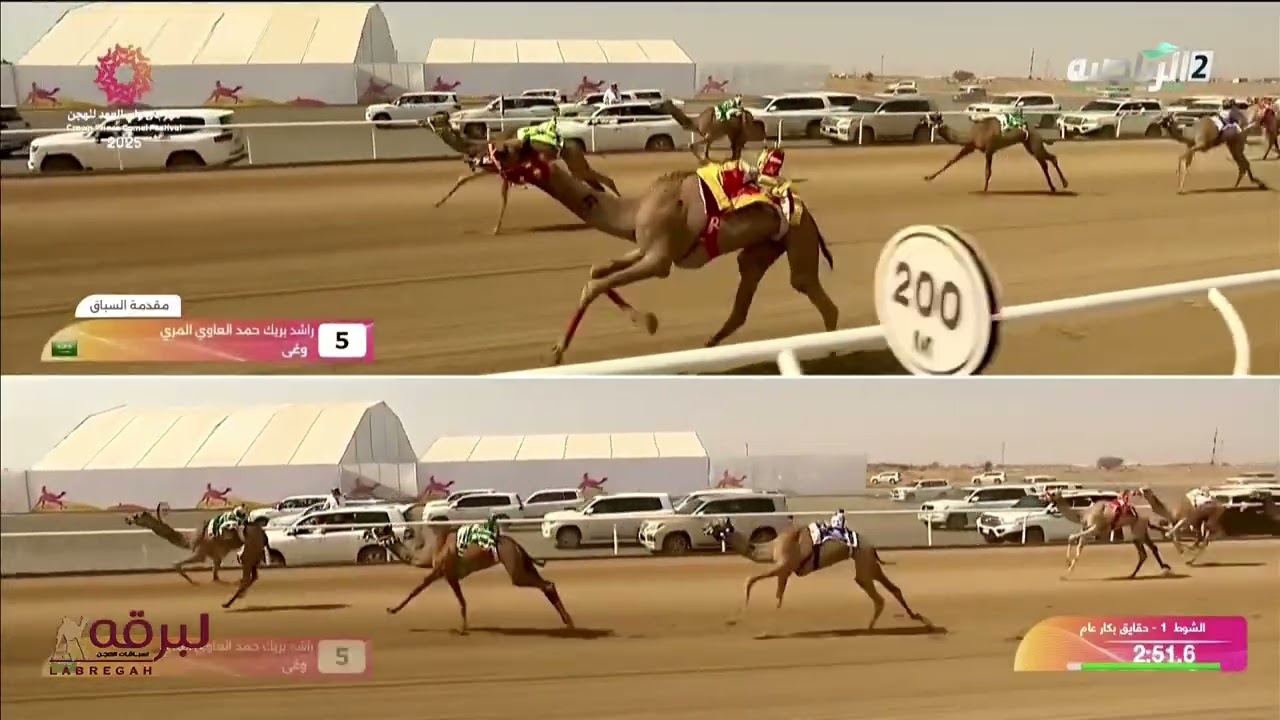 ش1 وغى لـ راشد بريك حمد العاوي المري (مهرجان ولي عهد للهجن 02-09-2025م) حقايق بكار عام 3:11:31