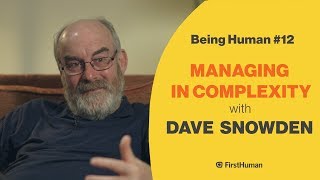 #12 MANAGING IN COMPLEXITY - DAVE SNOWDEN | Being Human