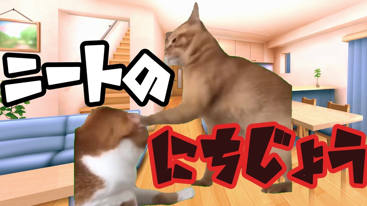 猫ミーム 】ニートの日常【Everyday life of the unemployed】 - YouTube