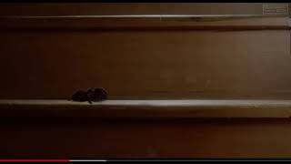 Home Alone - Spider Scream - Daniel Stern