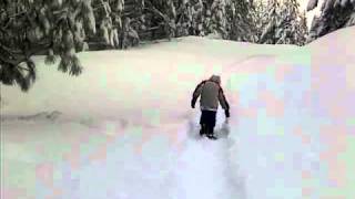 VID-20101229-00011