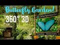 I Visited this Butterfly Garden and So Can You (in 3D 360 VR!)