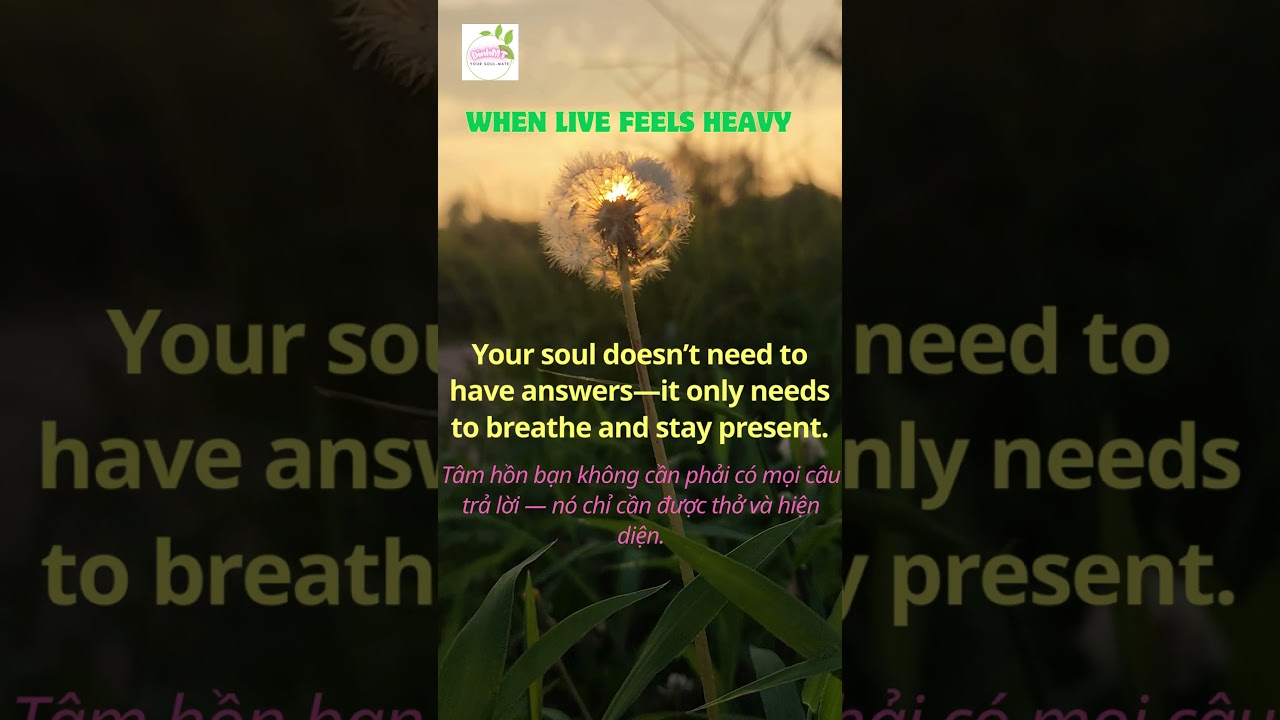 When Life Feels Heavy | Healing English Podcast | English Shorts