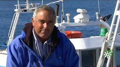 Captura del atún rojo con la técnica del “Green Stick” en Tarifa (Cádiz)