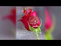 صوت الثورة جميل مطر صوت الثورة جميل مطر