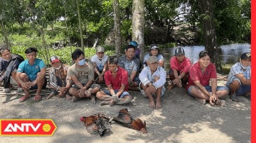 Triệt Phá Tụ Điểm Đánh Bạc Dưới Hình Thức Đá Gà Tại An Giang | Tin Tức 24h | ANTV