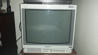 MONITEUR VIDÉO Sony 20 Pouces PVM 20N5E CRT RÉTRO GAMING - - Consoles