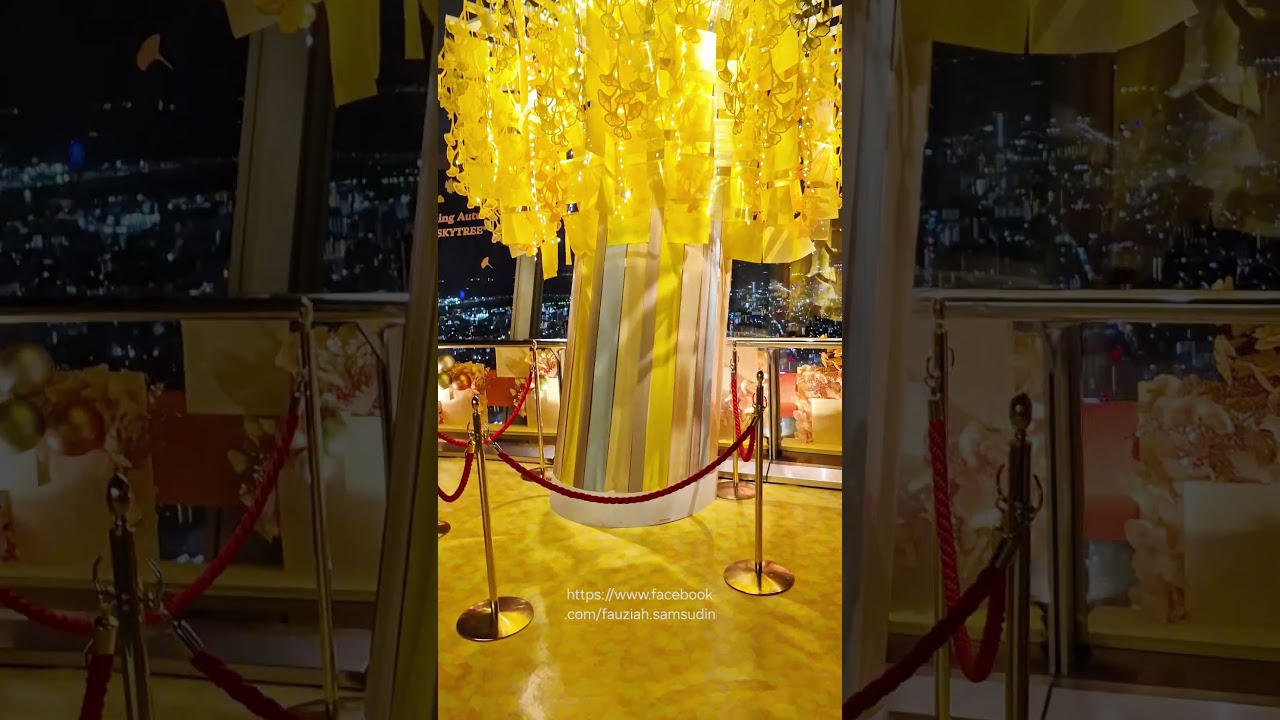 Skytree - Tembo Deck. 