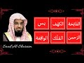 ∥ Saud Al Shuraim ∥ Al-Fatiha, Al-Kahf, Yaseen, Ar-Rahman, Al-Mulk, Al-Waqi