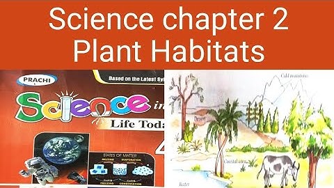 class 4 science chapter 2 plant habitats