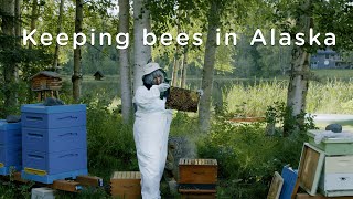 Alaskan grandmother conquers her fear and discovers a love of bees