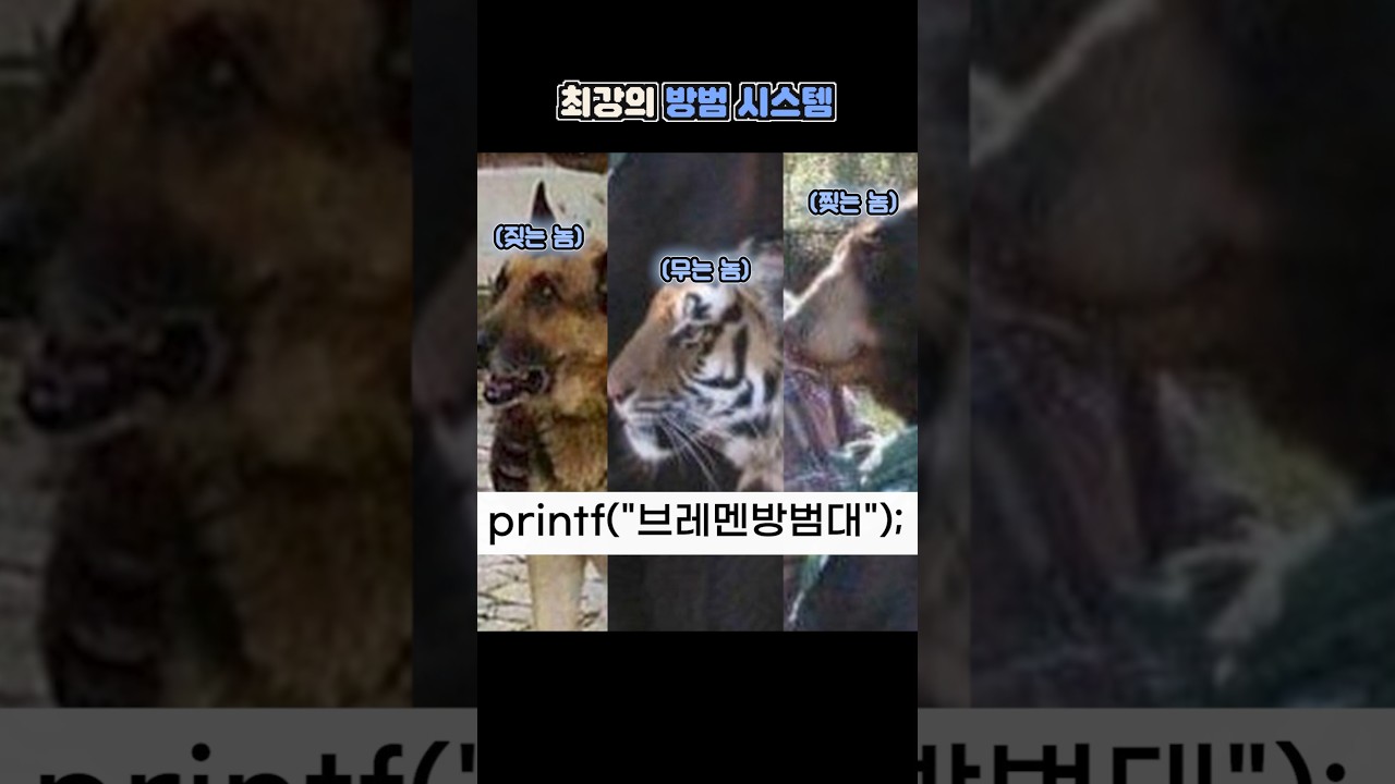 최강의 방범 시스템 - 브레멘방범대 #shorts