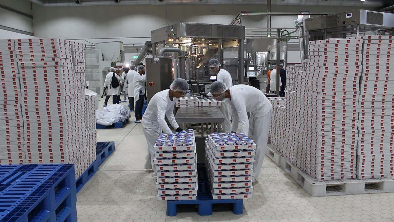 لأول مرة .. معمل لانتاج الالبان في البصرة