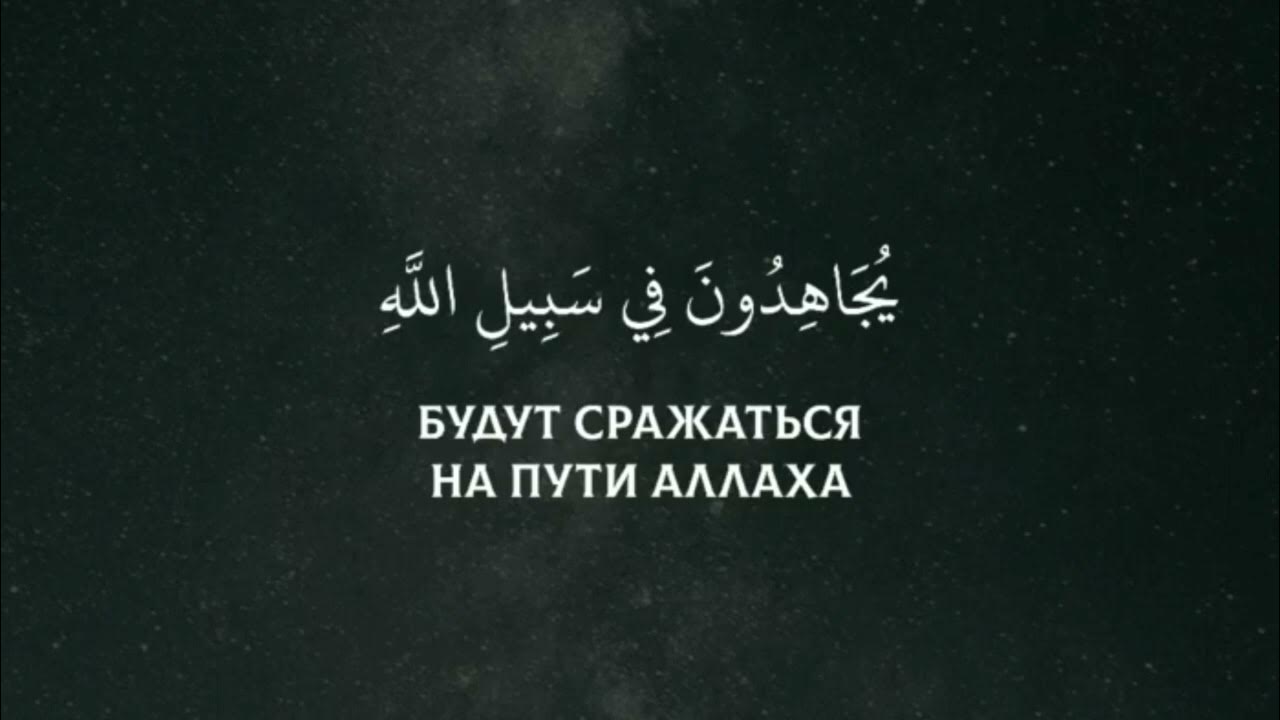 Сура 5 6. Сура Трапеза. Сура Трапеза 5 аят. Сура Трапеза 3 аят. 95.5 Аят.