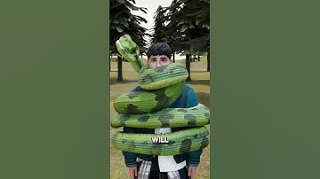 How to Survive an Anaconda?