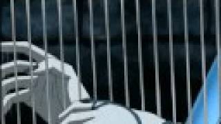 Miniatura del video "Abel Harp's Theme, by Pandora (Saint Seiya)"