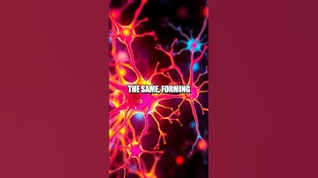 The Discovery of Mirror Neurons: A Revolution in Understanding Empathy