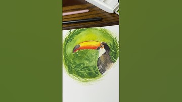 Watercolor painting of a bird: Toucan! ✨