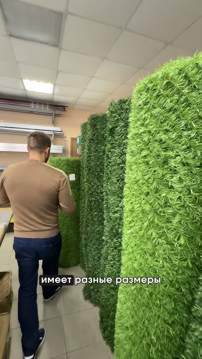 Калифорнийская изгородь от компании Green Form | Зеленый забор 365 дней ...