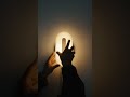 So what do you think about this sconce?