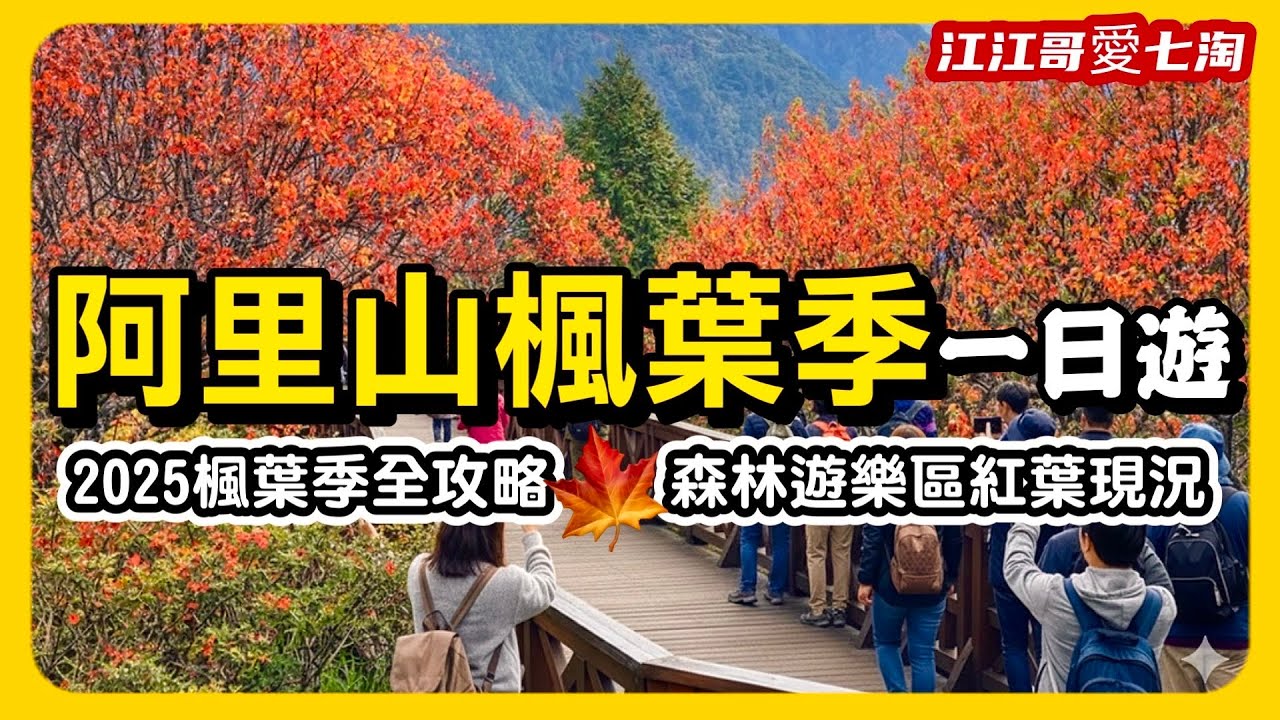 【江江哥愛七淘】2025 阿里山楓葉季全攻略🍁 森林遊樂區紅葉現況，這幾處拍起來最美｜嘉義景點｜嘉義旅遊｜嘉義美食｜阿里山美食｜Taiwan travel🇹🇼