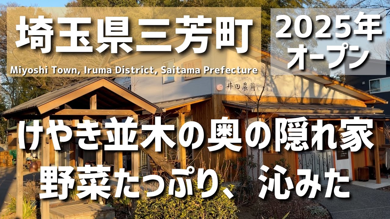 【埼玉グルメ】埼玉県入間郡三芳町｜けやき並木の奥にある穴場。時間がふっと緩む、野菜たっぷりの隠れ家カフェ - vlog - 