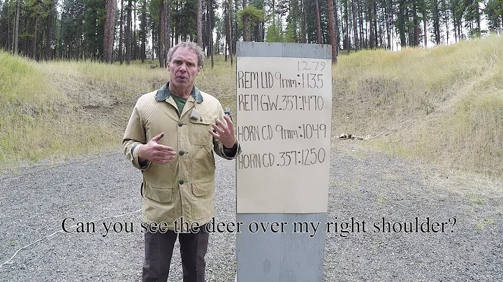 Personal protection:   9mm vs. .357Magnum.