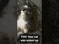 He was asleep peacefully 🤣