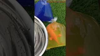 Colorful Animal Unboxing