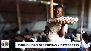 Nampiima Teli Amujja munkoko Nansi