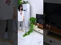 small product make your home and balcony beutiful #shorts