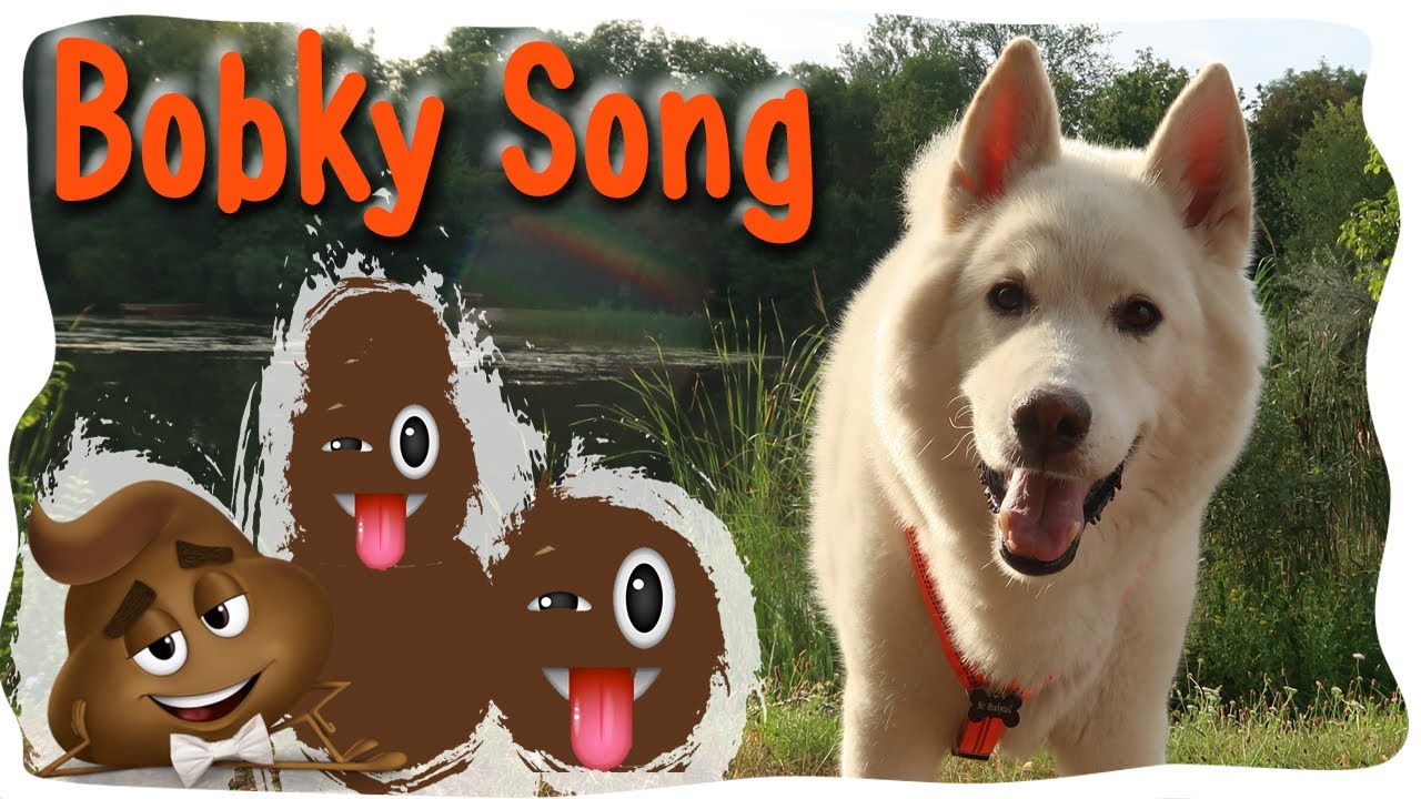 Chlupatá Písnička Vol. 3 💩😂