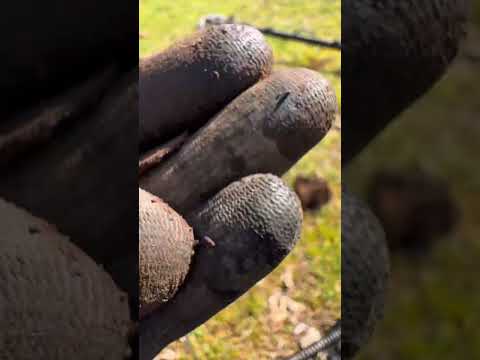 She’s rocking it #environmentalcleanup #metaldetecting