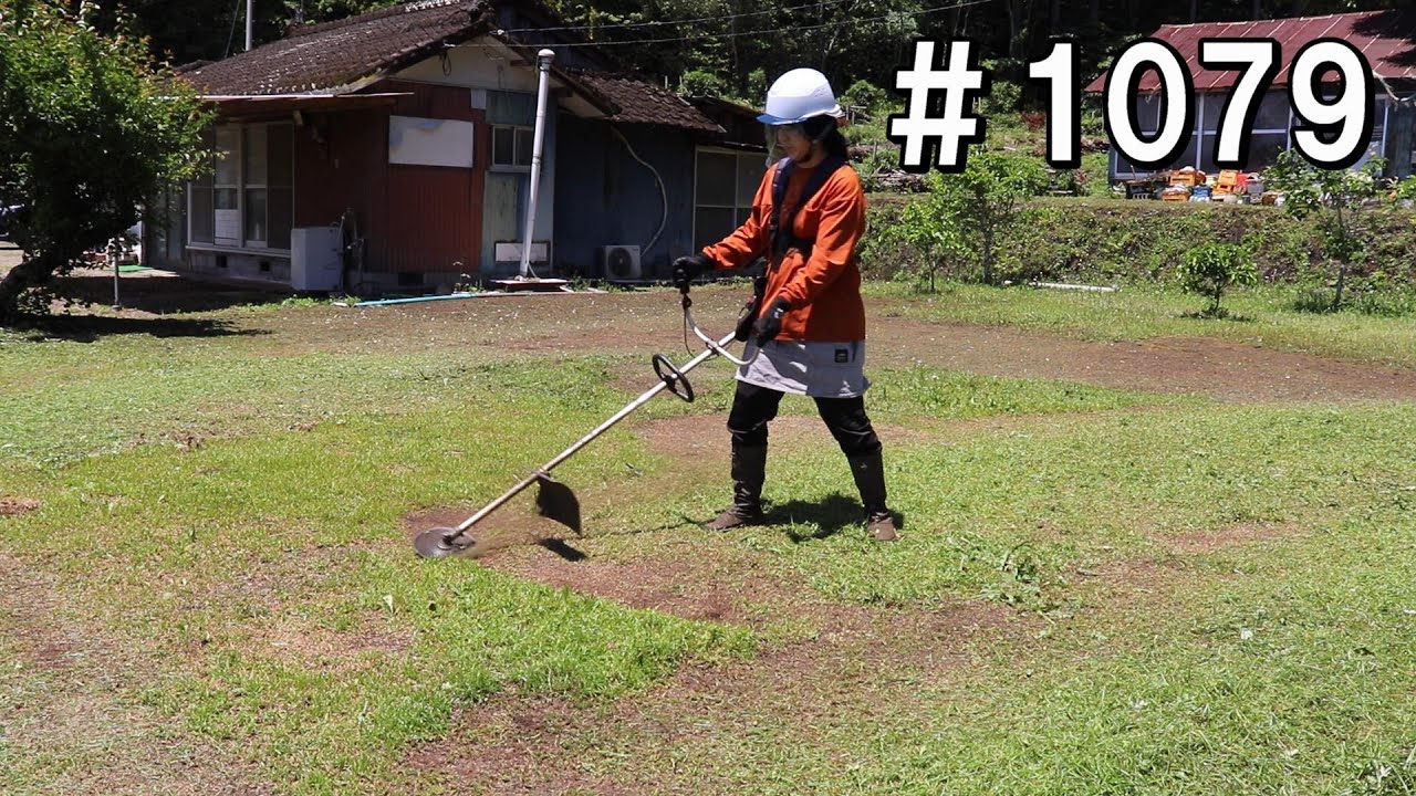 草刈り機珍しいピンクエンジン絶好調